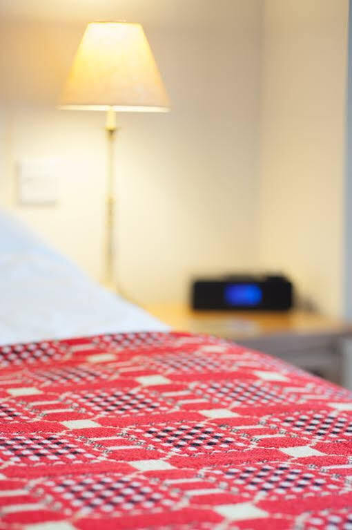 Y Talbot Hotel Tregaron Екстериор снимка
